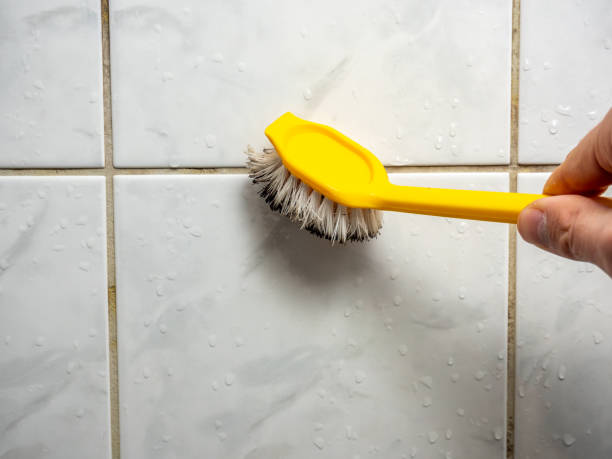 Mold Testing and Removal in New York Mills, MN