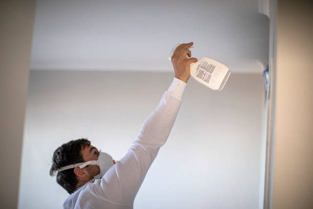 Best Certified Mold Removal  in New York Mills, MN