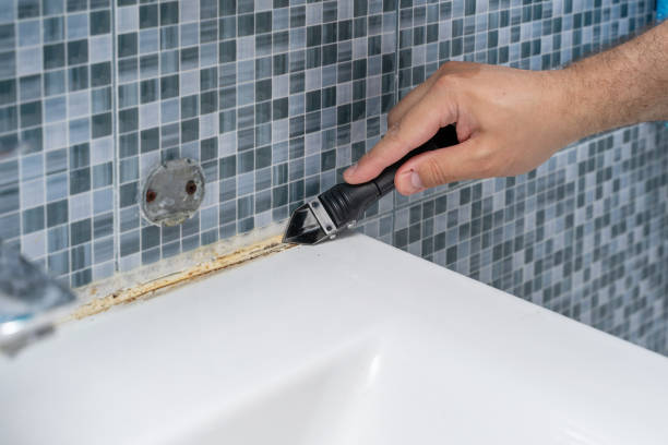 Trusted New York Mills, MN Mold Removal Experts